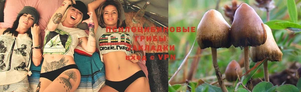 ПСИЛОЦИБИНОВЫЕ ГРИБЫ Алексеевка