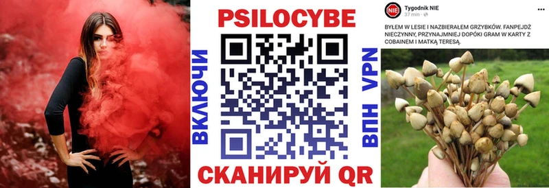 Псилоцибиновые грибы GOLDEN TEACHER  kraken tor  Пенза 